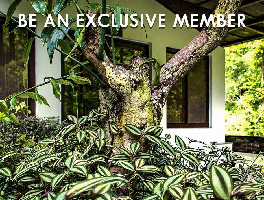 Become a member of our exclusive rewards program